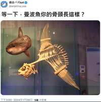 https://images.plurk.com/2ty3DmjTcJMdMvWYJAQpBo.jpg