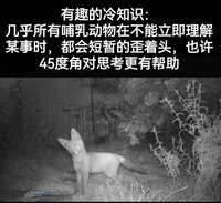 https://images.plurk.com/2tzKYu9CWBKvQWf94QikD4.jpg