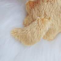 https://images.plurk.com/2u1KrWc5WSgb29eBUYilO8.jpg