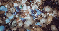https://images.plurk.com/2u5TAH5T8rACmutNjKxXEb.jpg