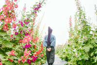 https://images.plurk.com/2u5elbiXr9TdJlxtmExSep.jpg