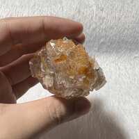 https://images.plurk.com/2u60HX1PdVy9osD57gQAmY.jpg