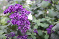 https://images.plurk.com/2uAKOJYpCkPOStUehhbbX.jpg