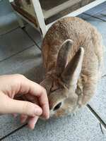 https://images.plurk.com/2urBMF8TjSZr1eSqmgHUCy.jpg