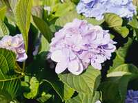 https://images.plurk.com/2vEPOUodlcF88RLUYbAaHu.png