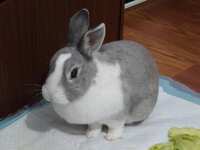 https://images.plurk.com/2vJqD1D1pNpJNe1Nnfwlw7.png