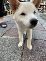 https://images.plurk.com/2vUdJURRfJYVjafnR0botU.jpg