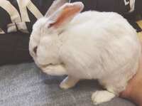 https://images.plurk.com/2vbfXPK9hikAA04chdggfx.jpg