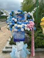 https://images.plurk.com/2vf7K09g110iBybDDs6gxG.jpg