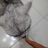 https://images.plurk.com/2vg0VYG0mHxXW6GY6knQUe.jpg