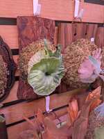 https://images.plurk.com/2vgGDi0WoXZ7Vcez7diSRM.jpg