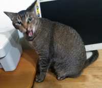 https://images.plurk.com/2vwIEPW56cfGbijnqeGSUi.jpg