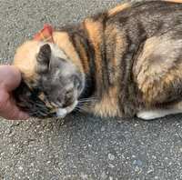 https://images.plurk.com/2vwIsJvrHt12BcezNz5OvB.jpg