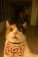 https://images.plurk.com/2vxB8bvYvTTBaWmVCY6yYU.jpg