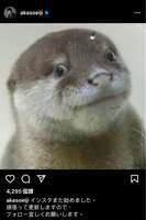 https://images.plurk.com/2w2l6YnfgageuYOUU4STmY.jpg