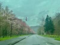 https://images.plurk.com/2w918lOJaY424N9abSS9YN.jpg