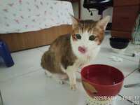 https://images.plurk.com/2w9JmduuVxQC1mp18vSdD8.jpg
