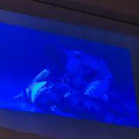 https://images.plurk.com/2wBdV67ALYbx6cZEpaE1yb.jpg