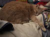 https://images.plurk.com/2wJwtdaCOmpirsMDrE2fWS.jpg
