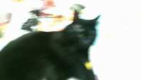 https://images.plurk.com/2wLDdHCuj270B0wruAbWnI.jpg