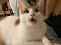 https://images.plurk.com/2wMwH8cOw2P3QiAWptl20t.jpg