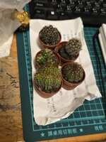 https://images.plurk.com/2wQdiNeC9T5ZbmeIwEzRpH.jpg