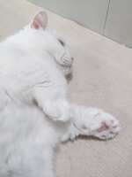 https://images.plurk.com/2wXg8o0IRmdmj1AUmiWbWm.jpg
