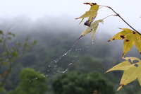 https://images.plurk.com/2wdf0lVMYgHq9tVeueBbR0.jpg