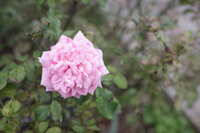 https://images.plurk.com/2wlBvmCjKerJMqURsWXkSF.jpg