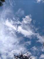 https://images.plurk.com/2wmJrWUSWamGxpWEJUlF5U.jpg