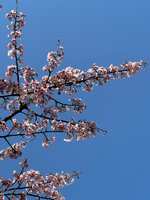 https://images.plurk.com/2wp1vPtE79fsJcOXoF3Hf8.jpg
