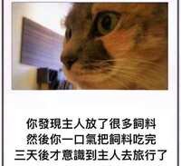 https://images.plurk.com/2x9zqj1fsZuHX6JjTKTrJR.jpg