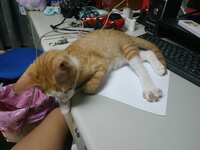 https://images.plurk.com/2xHEharYCOq5K3gMFCJij4.jpg