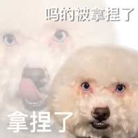 https://images.plurk.com/2xHq0sqm66MsaUKjmczGRl.jpg