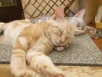 https://images.plurk.com/2xKqCPS01KvfzKymLMbdqM.jpg