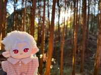 https://images.plurk.com/2xM89X8mMEelnfhjdDfGNJ.jpg