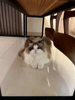 https://images.plurk.com/2xOaRPFOH0qCj2RUOkuG0S.jpg