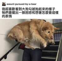 https://images.plurk.com/2xTsomuxc1dgWnrPRXngxp.jpg