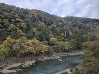 https://images.plurk.com/2xW7XiOhHjwr6VbtVSPZAy.jpg