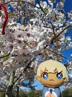https://images.plurk.com/2xbQVhk8BwXWewVe1Odxz5.jpg