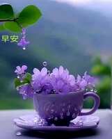 https://images.plurk.com/2xmtFK8BTT8743E4qUtmcE.jpg