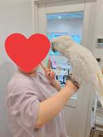 https://images.plurk.com/2xosZ1VtwF5kCIMJQraiAB.jpg