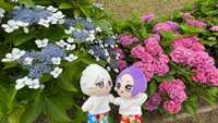 https://images.plurk.com/2xpiZgX3T0hyoAQSinCSHe.jpg