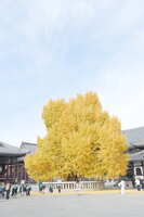 https://images.plurk.com/2y3CV3Xrr6HNTtJ0WFpDXq.jpg