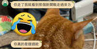 https://images.plurk.com/2y7rQW18Svs0CHILqitHQ2.jpg