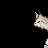 https://images.plurk.com/2y9EPqWlbPs6FEHkV4olLg.gif