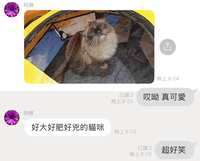 https://images.plurk.com/2yHm2NMJFp2J70KAD5cZTr.jpg