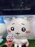 https://images.plurk.com/2yIZvRCC8G8j1AkcXYZdVh.jpg