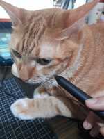 https://images.plurk.com/2ySj5cbGf2ou46jAZMqeKu.jpg