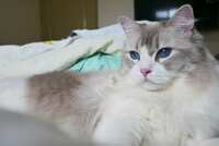 https://images.plurk.com/2yd8BxB1VzxQ3QLjWFok3y.jpg